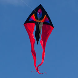 Colours In Motion F Tail Delta Kite XM