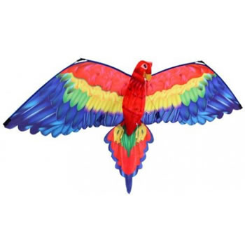 Gunther 3D Cora Parrot Kite