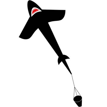 HQ Eco Shark Kite 5FT