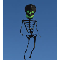 Premier 21ft Skeleton Kite