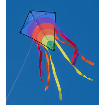 Single Line Parafoil Pocket Kite Colourful Long Tail in Pouch Easy Outdoor Fun 