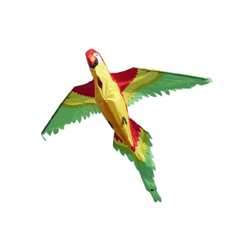 HQ Joel Scholz 3D Parrot Kite