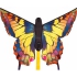 HQ Butterfly Swallowtail