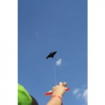 Spiderkites Bat Kite - view 2