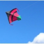 Spider Kites KIRK - view 3