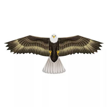 X-Kites Bird Of Prey Eagle