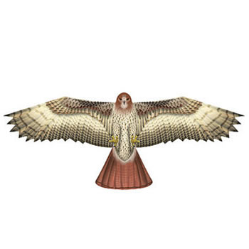 X-Kites Bird Of Prey Hawk